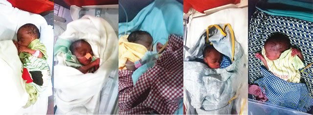 Nigerian Woman Births Quintuplets